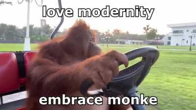 The only way there is