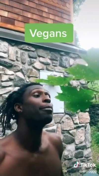 Haha vegans bad