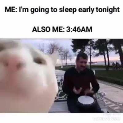 every. single. night.