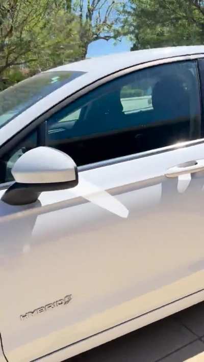 2019 Hybrid SE
