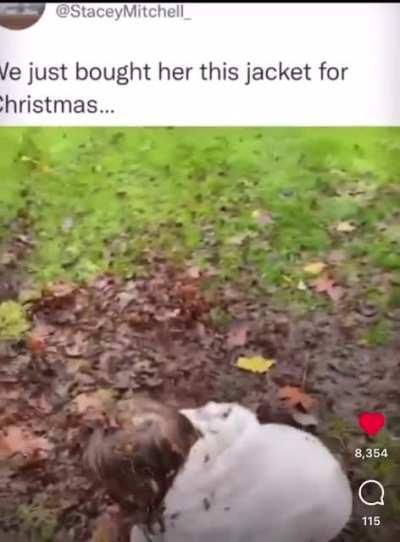 Kid got a new jacket for Christmas🥴