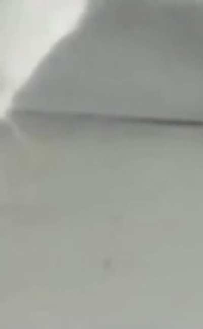 to keep the cat inside