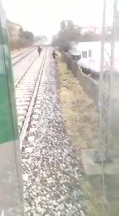 Two idiots hanging on a train in northern Italy, on the Milano-Varese line.