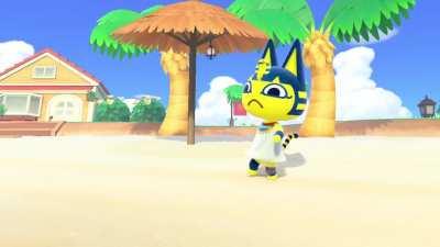 My cat with her litter box at 3 am...