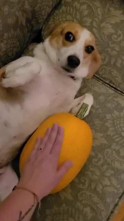 Thump test for ripeness.....