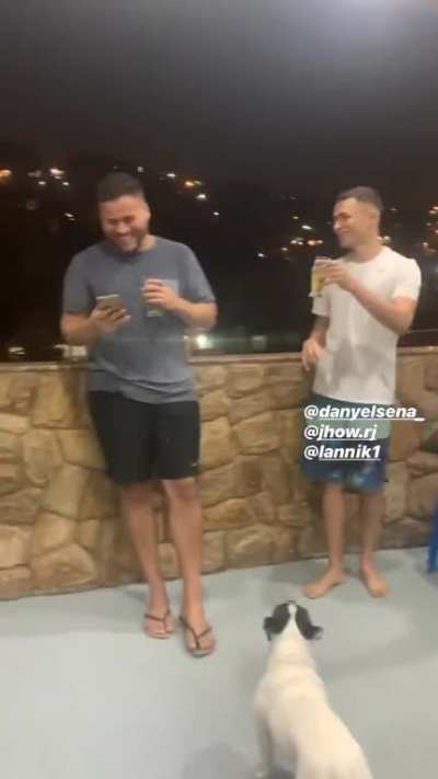 olha o jeitinho dele KKKKKKK