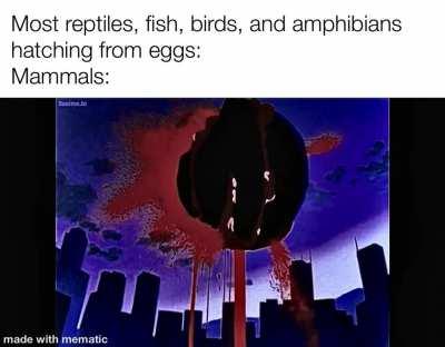 Laughed, giggled a little.