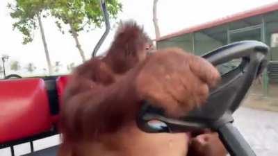 У меня вообще бизнес свой. Это так, для души