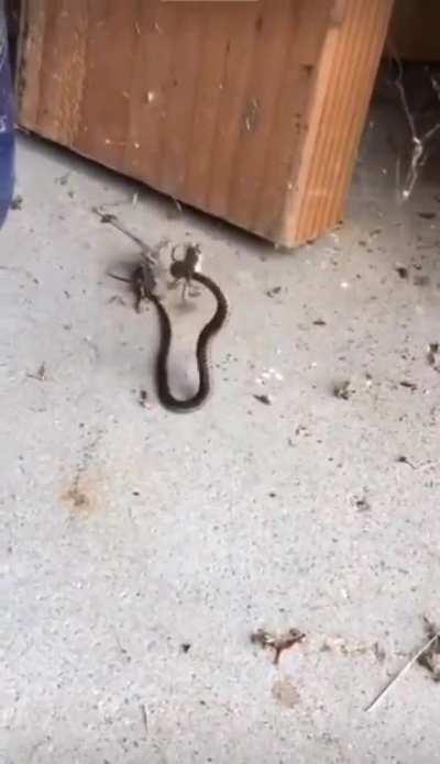 Size isn't everything..