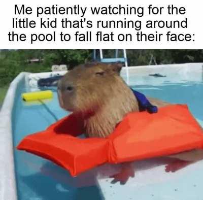 Aaannnddd there he goes