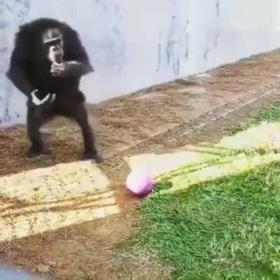 Probably posted before but look at this lad.