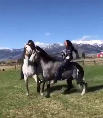 WCGW popping bottles on a horse
