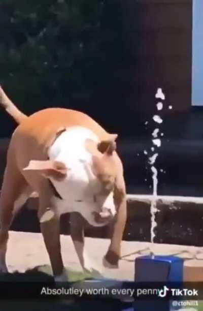 This video will bring you to life in 2020...