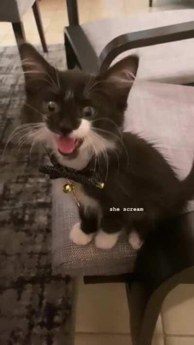 She’s been here 4 days and has already taken control over the house with her demands.