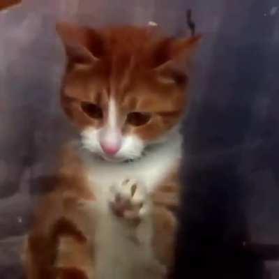 Если и так хуёво на душе