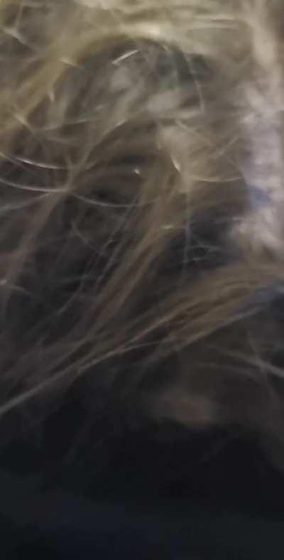 Fat as fuck but I always fit them in my mouth & down my throat. I’m ready for a bigger challenge