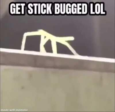 Nothing to see here 😂😂😂