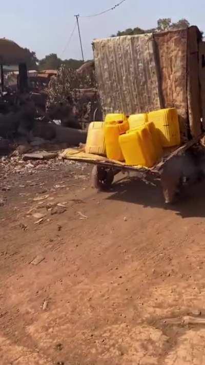 Necessity is the mother of invention