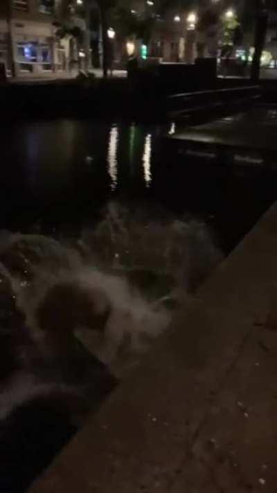 To prevent himself from falling