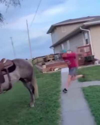 Thats not a good way to approach a horse