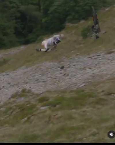 WCGW doing something so so stupid without practicing cautiousness.