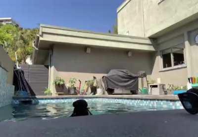 From her pool stream