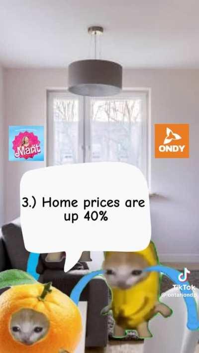 ONDP fucking did it again