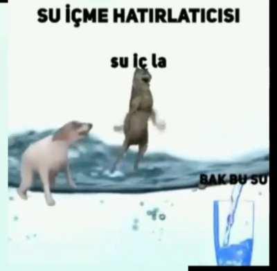 Neden su içmiyorsun