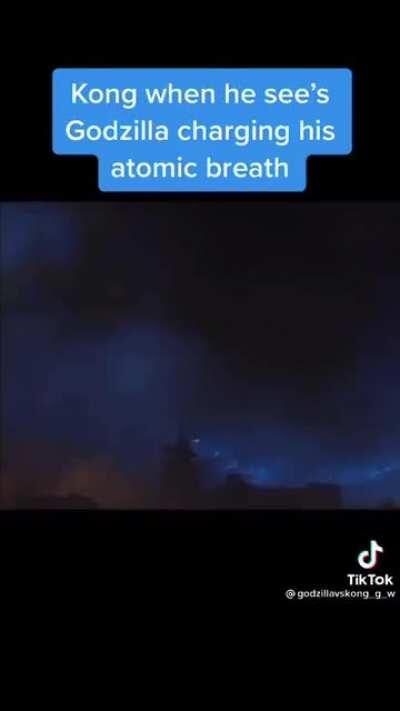 I take no sides. But it’s funny tho ⚠️ Caution: Loud ⚠️