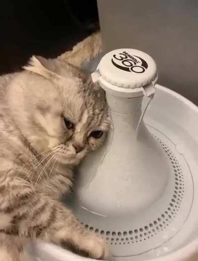 Hard day after the party😅