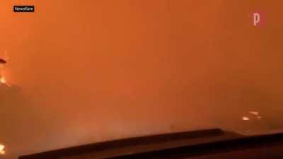 Holy Shit California