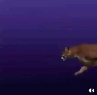 Thanks I hate China's new DF-17 missile