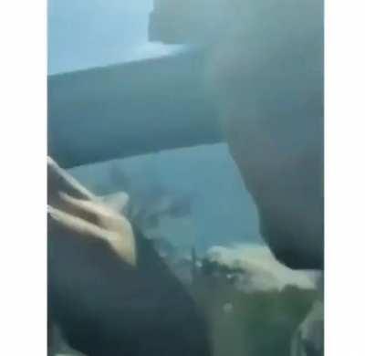 Hoy! En VAI: los pendejos.