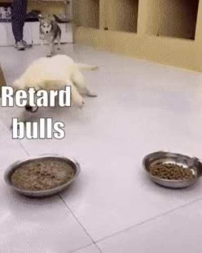 Just another day in the market