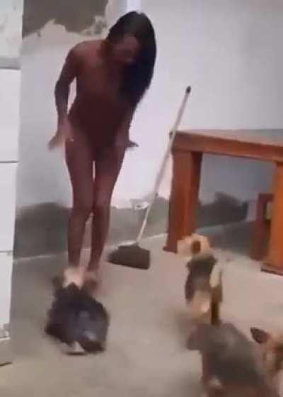 Don’t mess up with the dogs