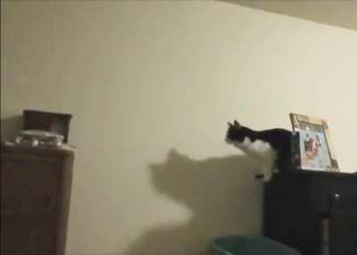 From dresser to dresser