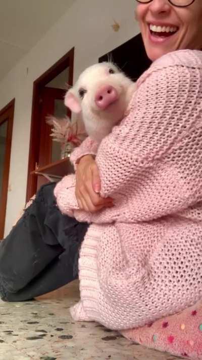 Happy as a pig being hugged