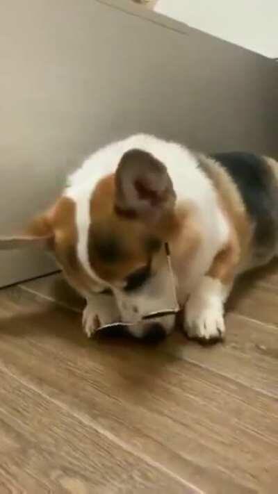 Going to Hollywood. Take my autograph now or will have to wait in the queue later.