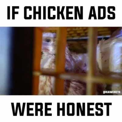 Lilydale Australia has recently released a new 