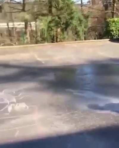 Karen destroys a child's chalk work