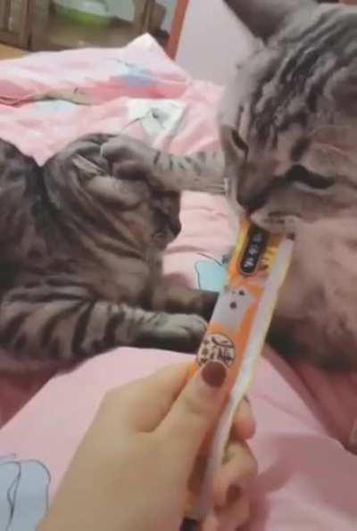 Someone's not big into sharing...