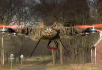 When mum calls you by your full name