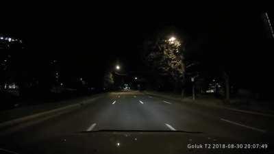 Wcgw running a red light.