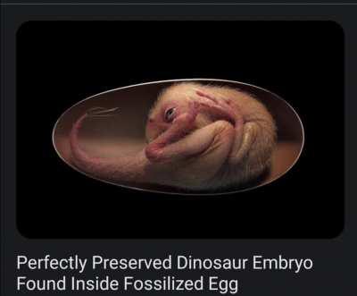 Scrolling through news listening to the halo soundtrack when...