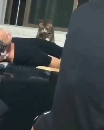 It ain't much but it's honest work