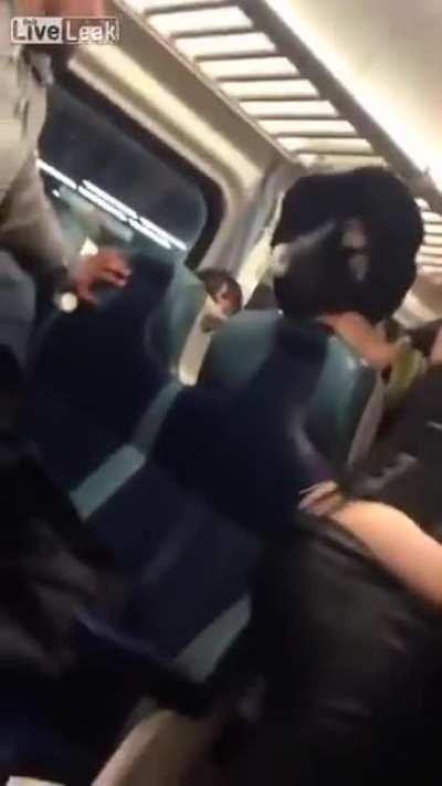 Luigi defends his brother against Wario on the New York City Subway. A classic.