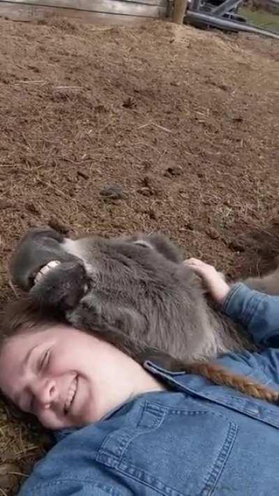 I got Leroy 2 weeks ago. I think he's starting to warm up to me lol