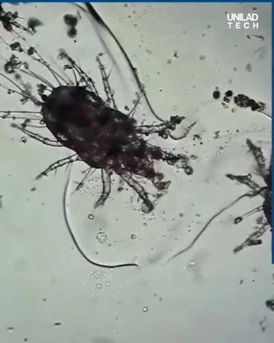 живите с этим