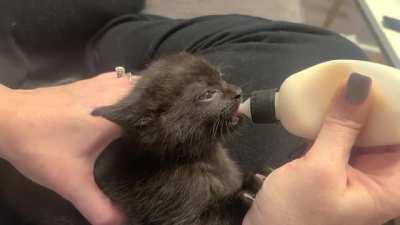 Stealing all the formula.