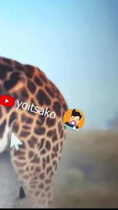 Haal hi me pata chala